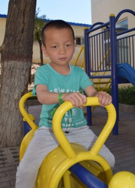 new photos 6-23-16 (2)